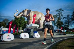 BIB: 
                            <button type="button" onclick="openModal(26541631)" class="btn btn-primary btn-sm float-right btn-popup" data-toggle="modal" data-target=".modal-high-quality">
                        <i class="fas fa-shopping-cart"></i> Add to Cart
                    </button>
                                            <button type="button" onclick="isThisMe(26541631, true)" class="btn btn-success btn-sm float-right btn-popup btn-isme hidden" data-toggle="tooltip" data-placement="bottom" title="นี่คือรูปของคุณใช่ไหม คลิกที่นี่เพื่อเอาเข้าอัลบั้ม">
                        <i class="fas fa-plus"></i> Add to album
                    </button>
                    <button type="button" onclick="isThisMe(26541631, false)" class="btn btn-warning btn-sm float-right btn-popup btn-isnotme hidden">
                        <i class="fas fa-ban"></i> Remove from album
                    </button>